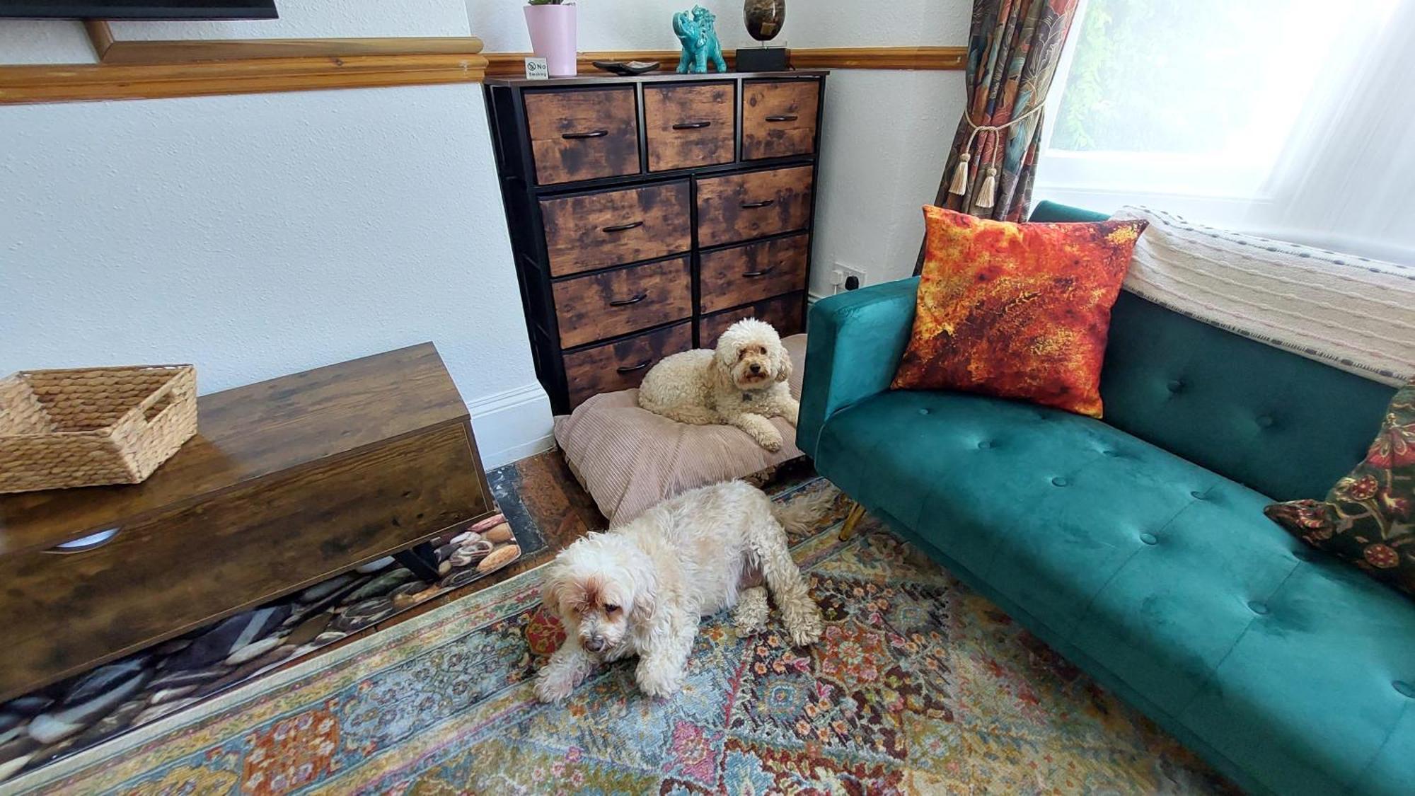 Pebbles Place Brighton ภายนอก รูปภาพ